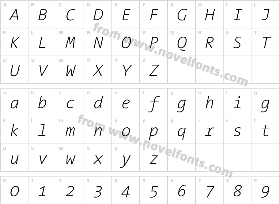 The Sans Mono Extra Light ItalicCharacter Map