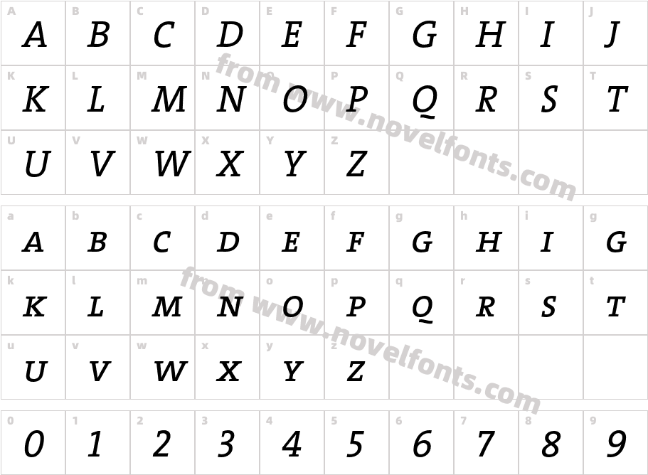 The Serif Caps ItalicCharacter Map