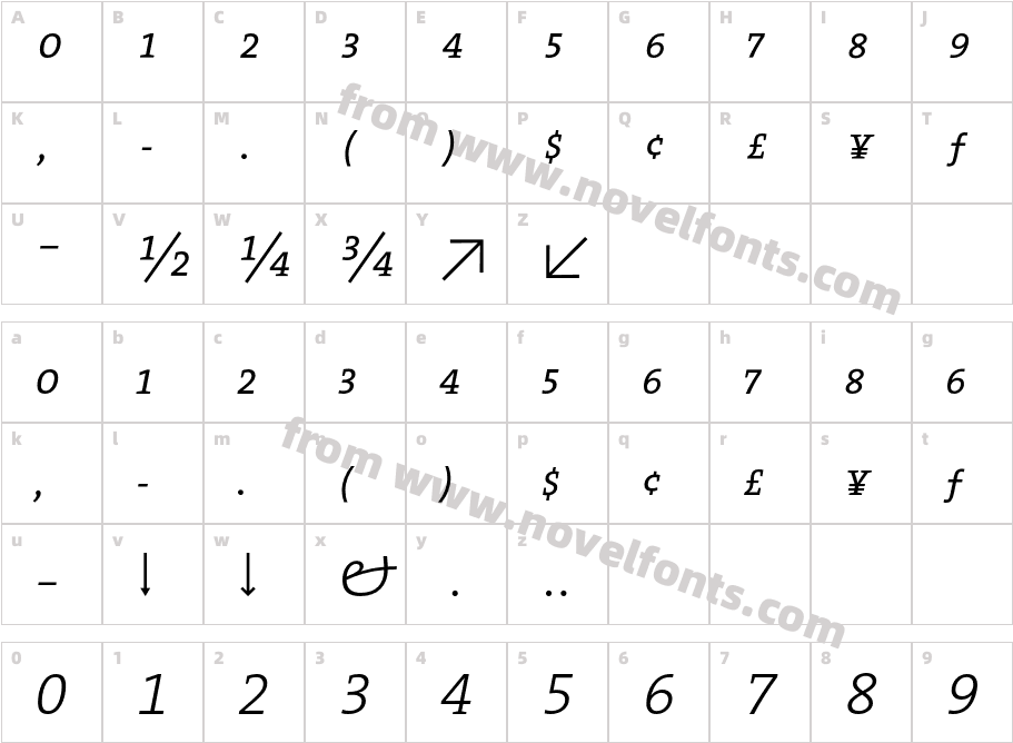 The Serif Light Expert ItalicCharacter Map