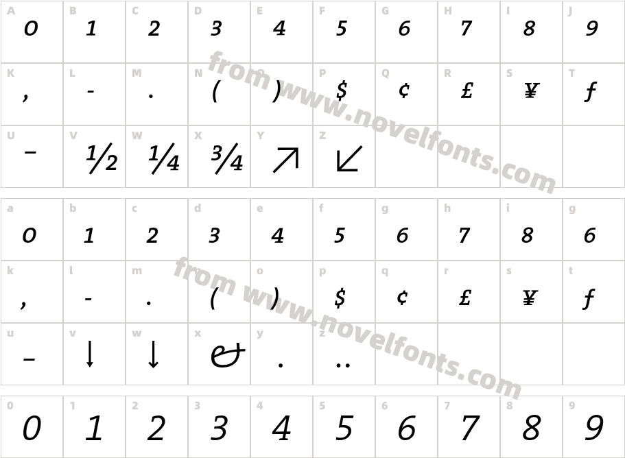 The Serif Semi Light Expert ItalicCharacter Map