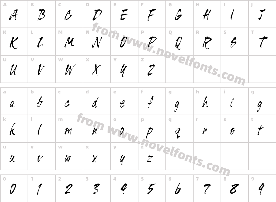 Tiger Rag PlainCharacter Map