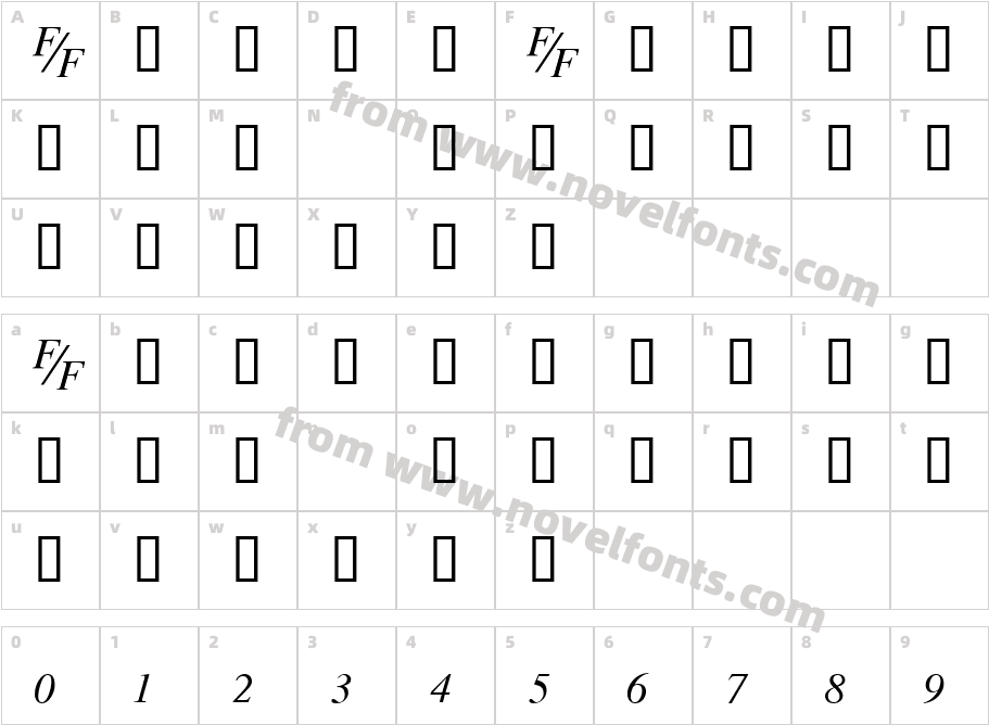 TmsFE ItalicCharacter Map