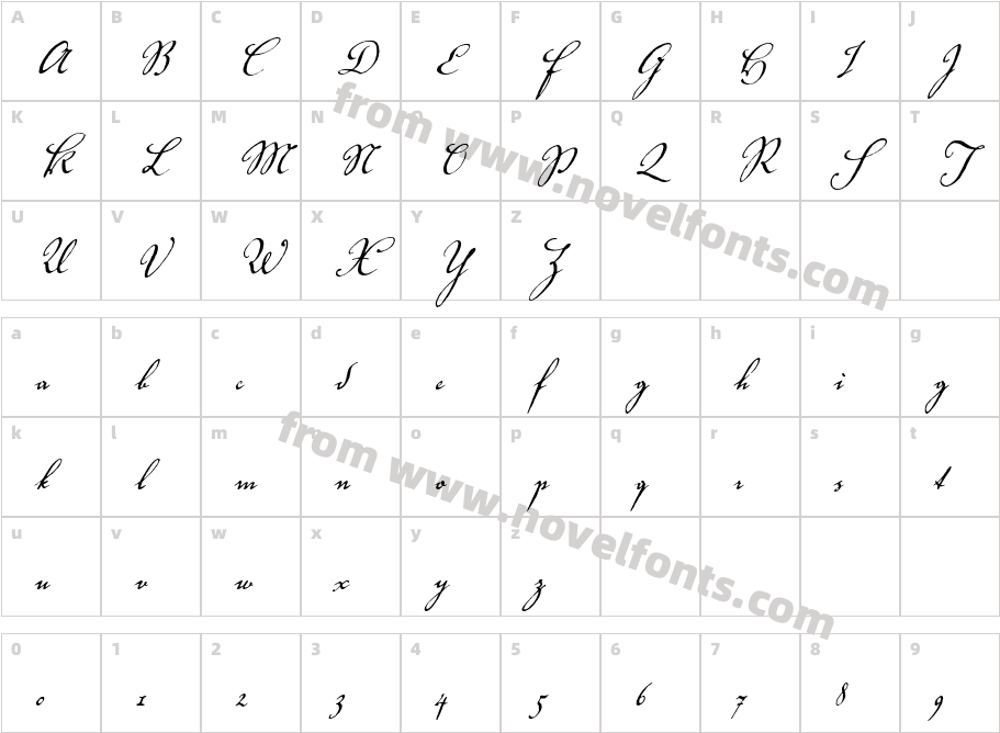 Voluta Script RégularCharacter Map