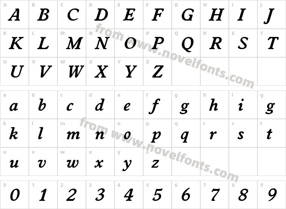 Worcester Serial Bold ItalicCharacter Map