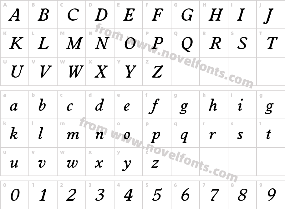 Worcester Serial Medium Regular ItalicCharacter Map