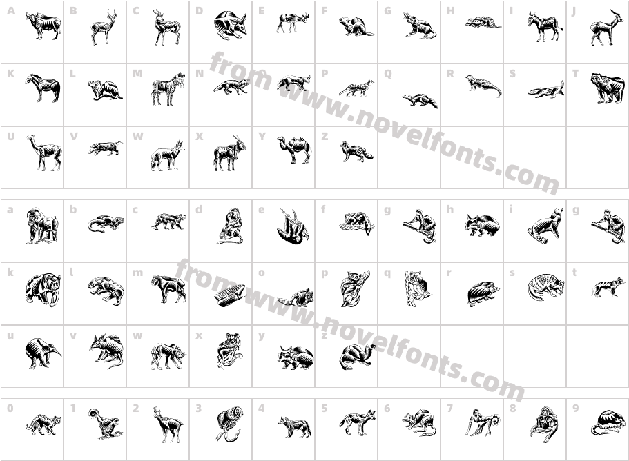 Zigzag Zoo AnimalCharacter Map