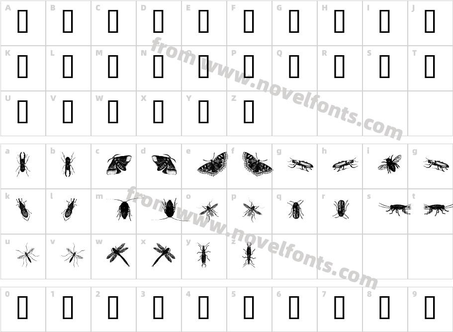 insects oneCharacter Map