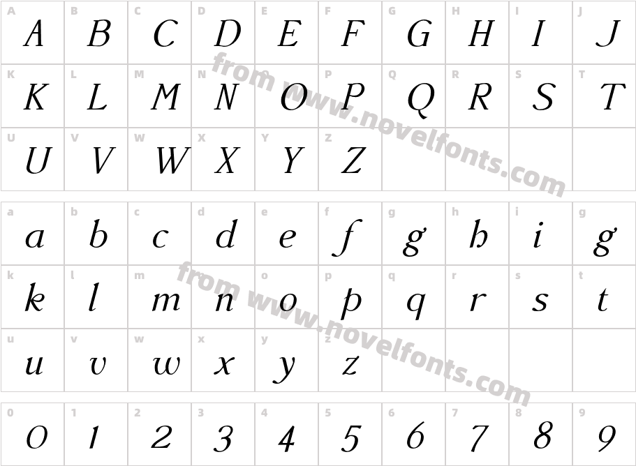 AccanthisADFStd-ItalicCharacter Map