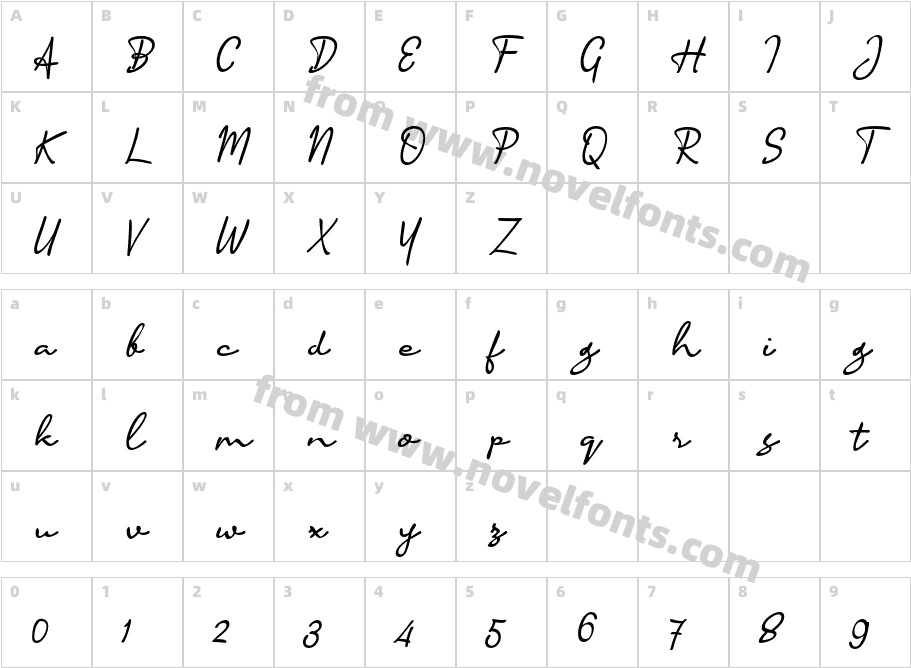 Accountant SignatureCharacter Map