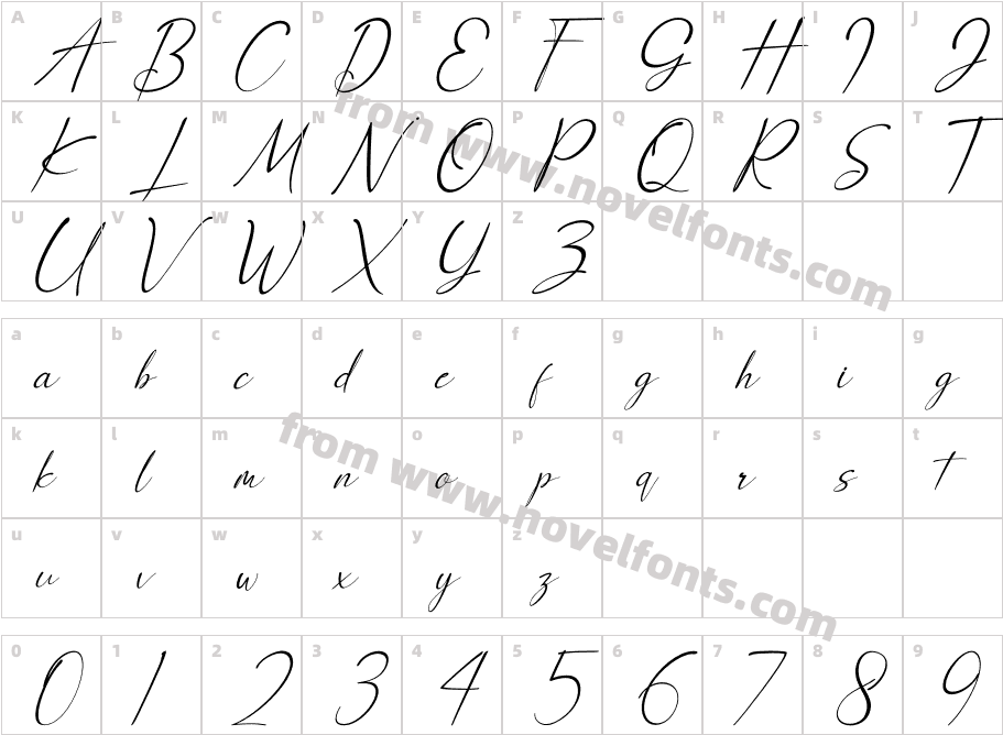 Anthony Hartman ItalicCharacter Map