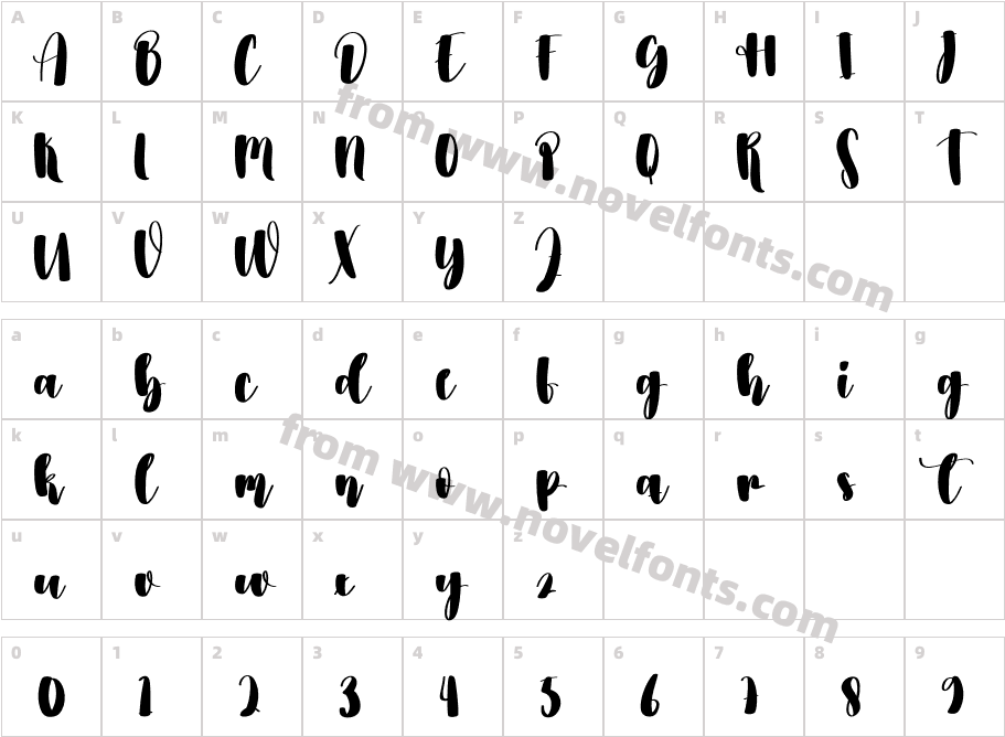 AutographyRegularCharacter Map