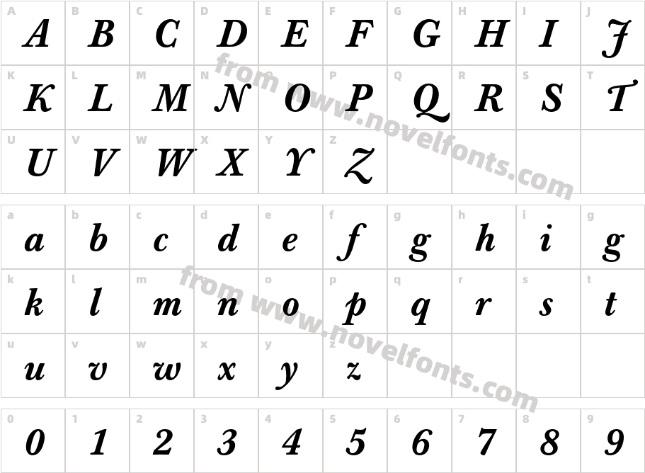 BaskervilleBook-MedItalicCharacter Map