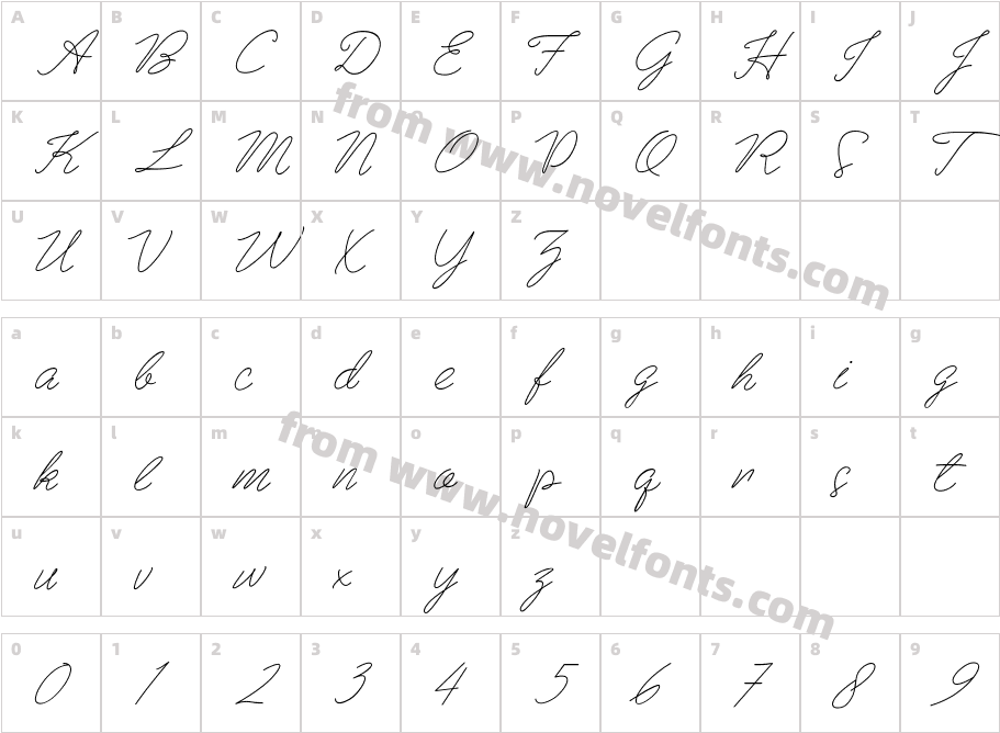 Beauty HamidaCharacter Map