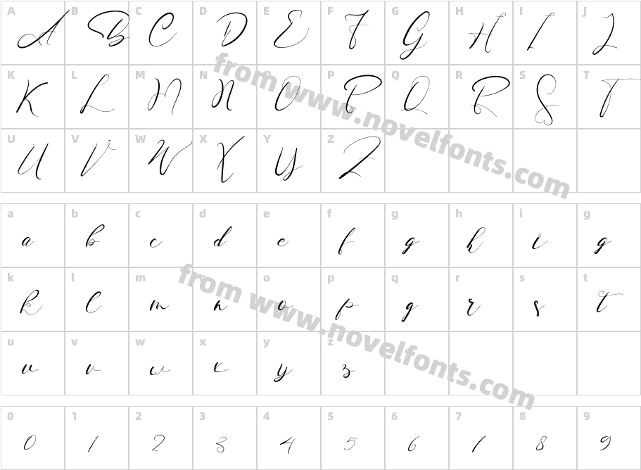 BeautySignatureRegularCharacter Map