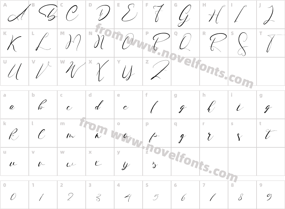 BeautySignatureRegularCharacter Map