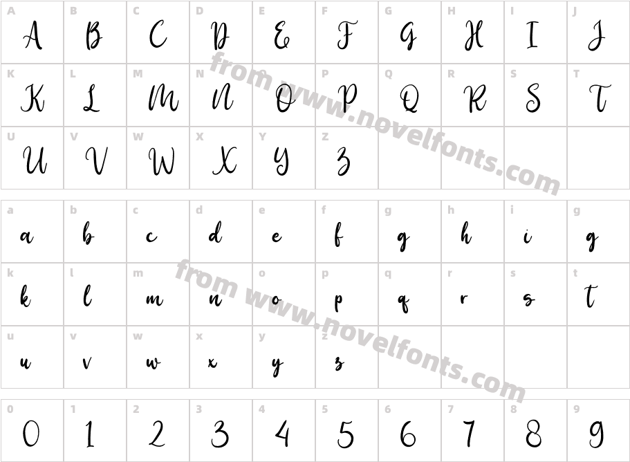 Birdy HomeCharacter Map