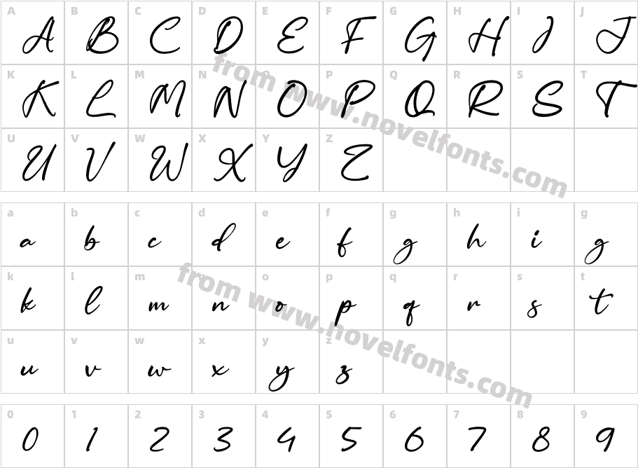 Carolena NarashyCharacter Map