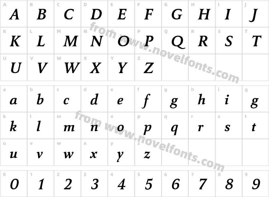 CarreNoirStd-BoldItalicCharacter Map