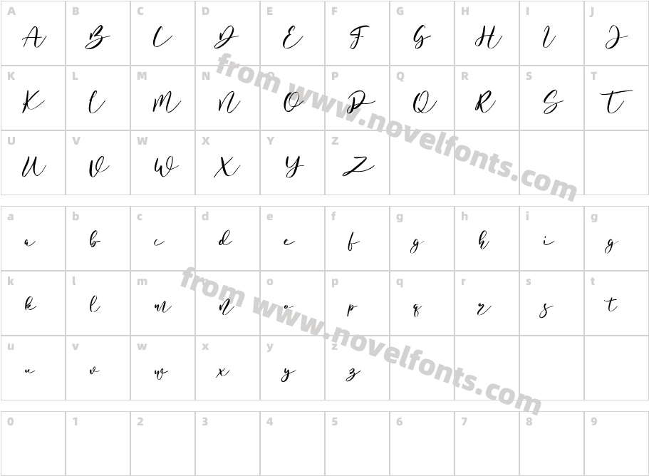 Bottomvega Free RegularCharacter Map