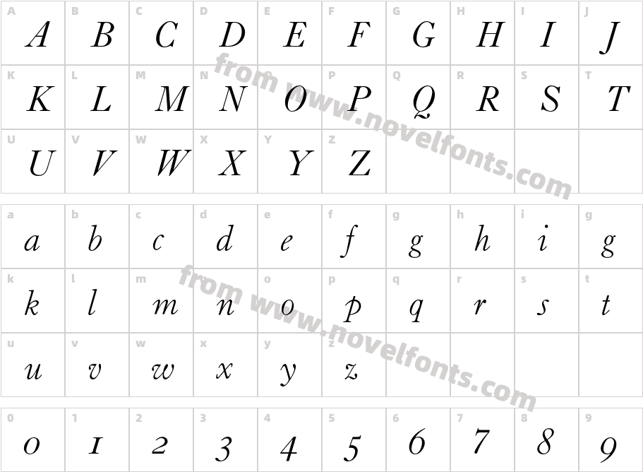 CaslonC37-LgtItlAltCharacter Map