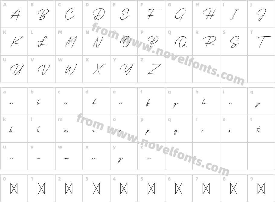 BusinessSignatureDRegularCharacter Map