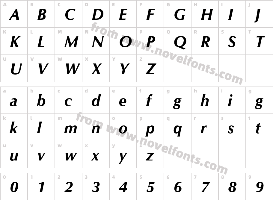 CG Omega Bold ItalicCharacter Map