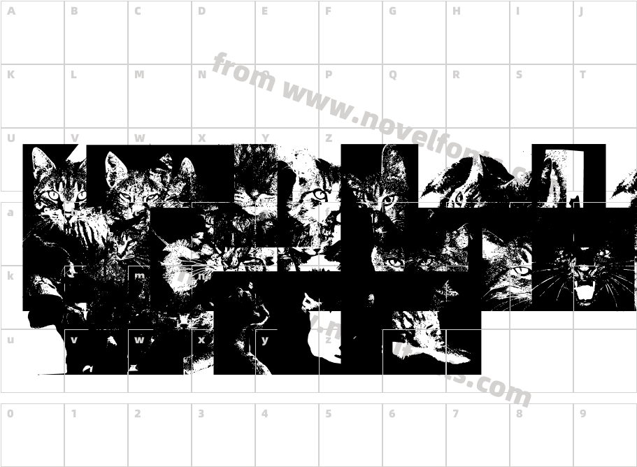 CatBatsCharacter Map