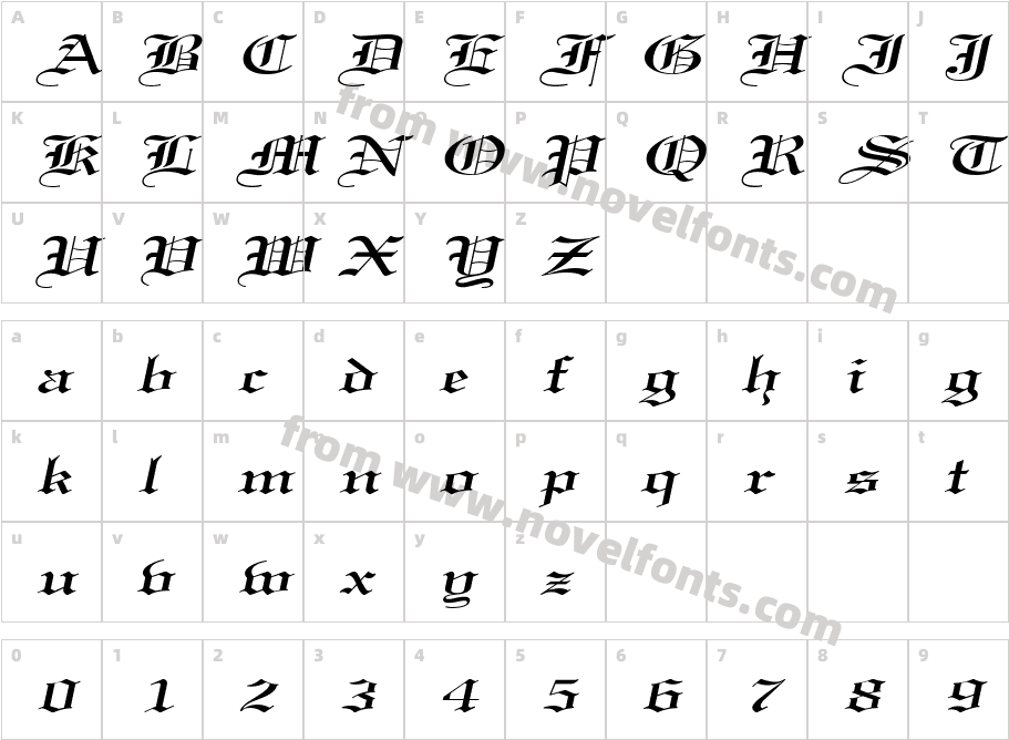 CertificateExtendedItalicSWFTECharacter Map