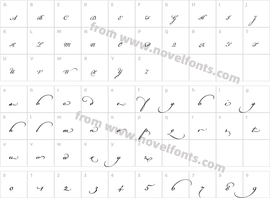 Champignon Alt SwashCharacter Map