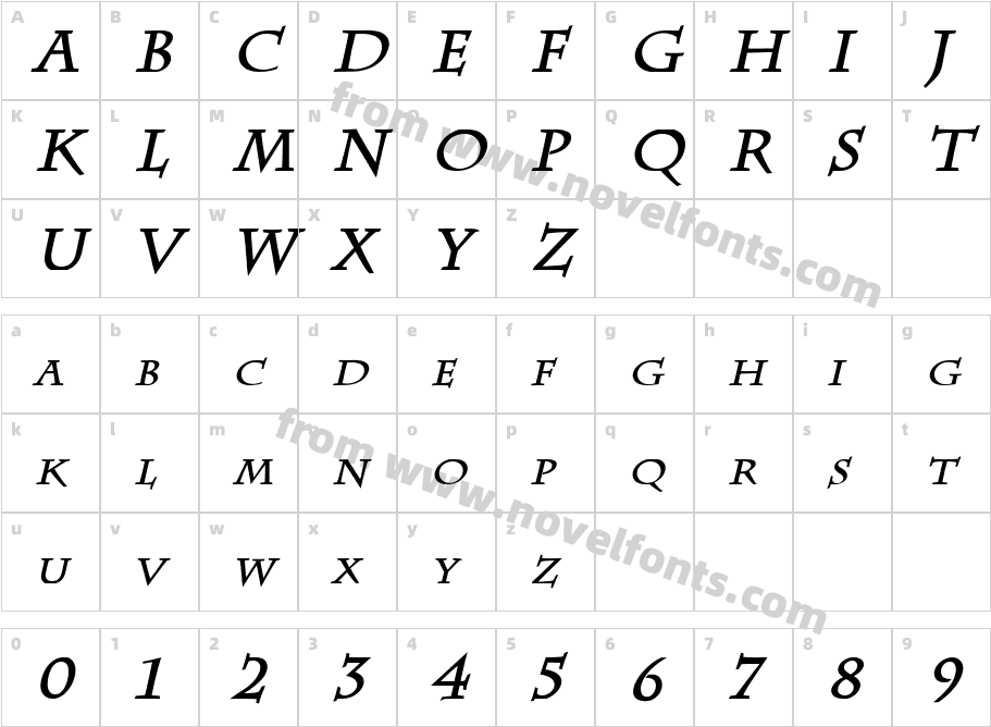 Chaz Bold ItalicCharacter Map