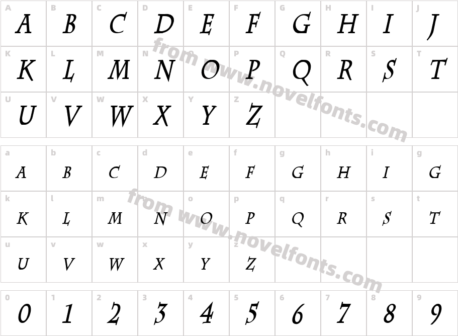 Chaz Thin Bold ItalicCharacter Map