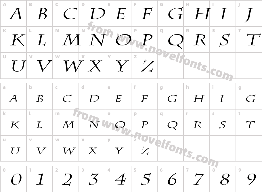 Chaz Wide ItalicCharacter Map