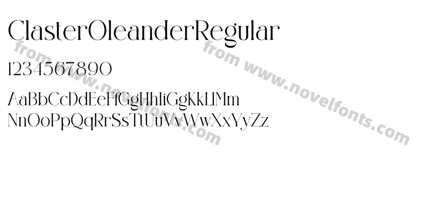 ClasterOleanderRegularPreview