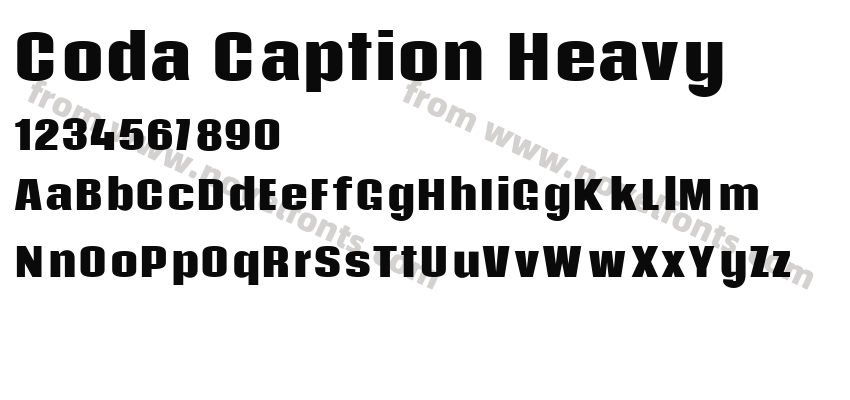 Coda Caption HeavyPreview