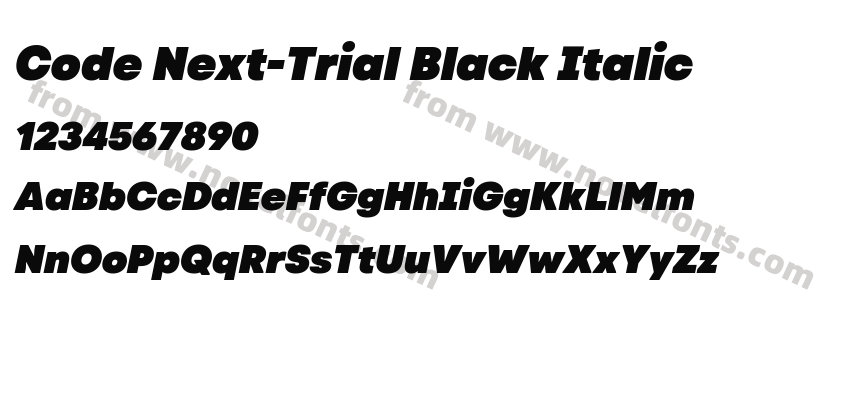 Code Next-Trial Black ItalicPreview