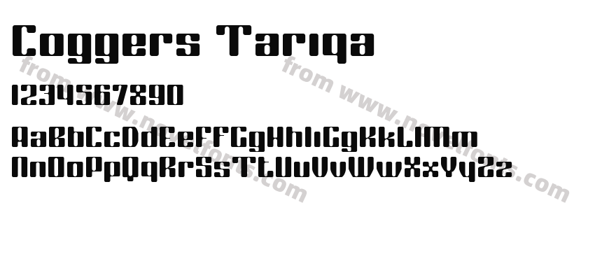 Coggers TariqaPreview