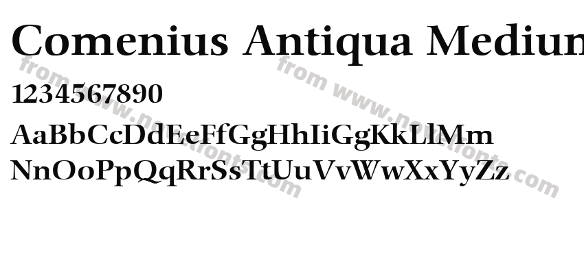 Comenius Antiqua MediumPreview