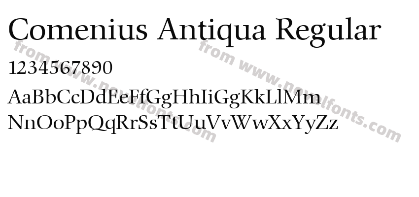 Comenius Antiqua RegularPreview