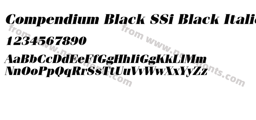 Compendium Black SSi Black ItalicPreview