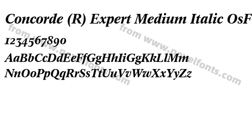 Concorde (R) Expert Medium Italic OsFPreview