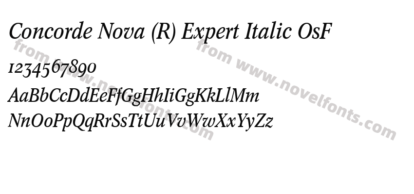 Concorde Nova (R) Expert Italic OsFPreview