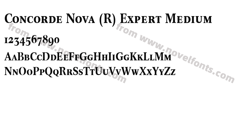 Concorde Nova (R) Expert MediumPreview