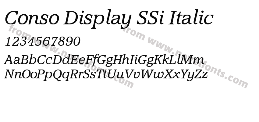 Conso Display SSi ItalicPreview