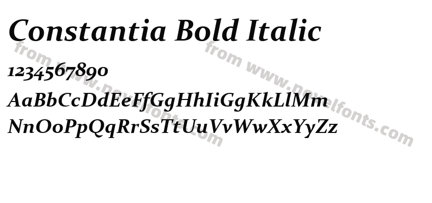 Constantia Bold ItalicPreview