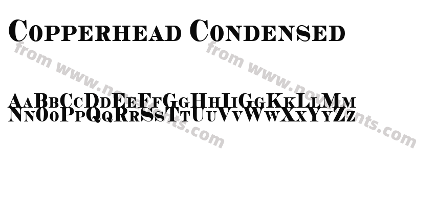 Copperhead CondensedPreview