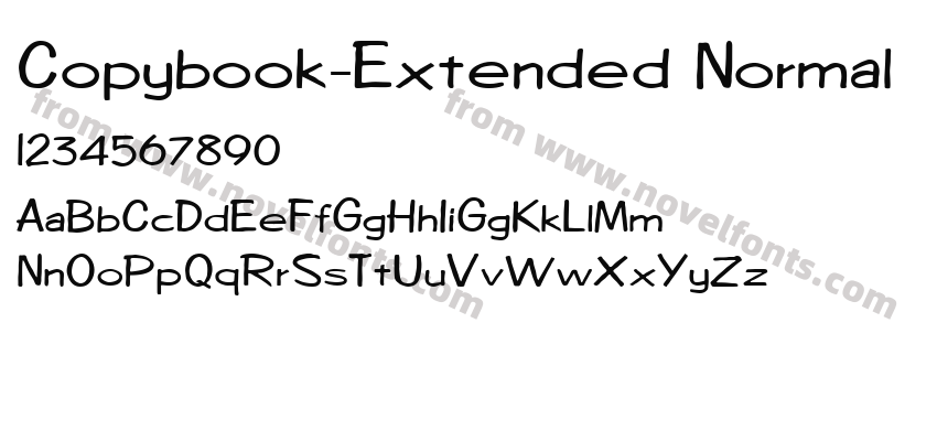 Copybook-Extended NormalPreview