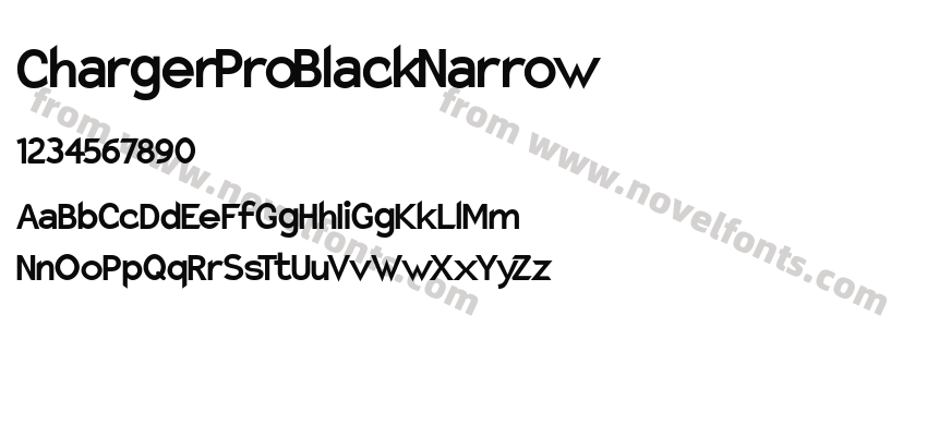 Charger Pro Black NarrowPreview