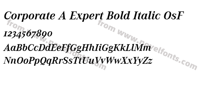 Corporate A Expert Bold Italic OsFPreview