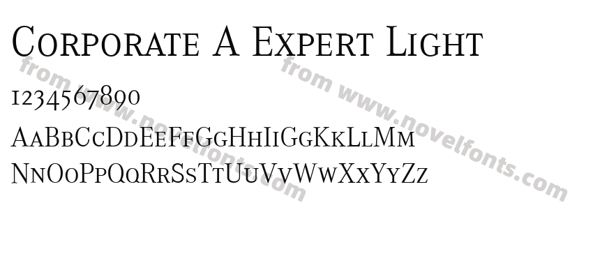 Corporate A Expert LightPreview