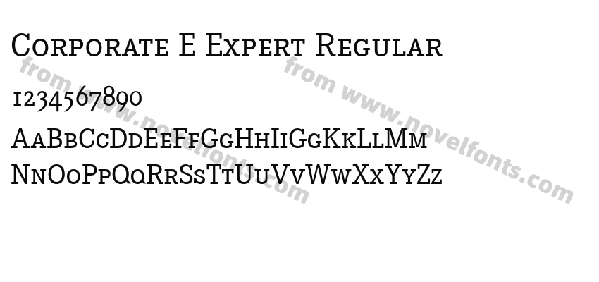 Corporate E Expert RegularPreview